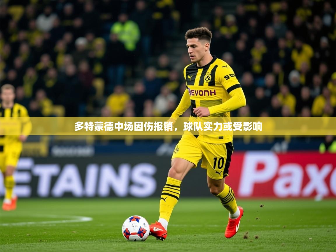 2025 极速体育直播多特蒙德中场因伤报销，球队实力或受影响  第4张