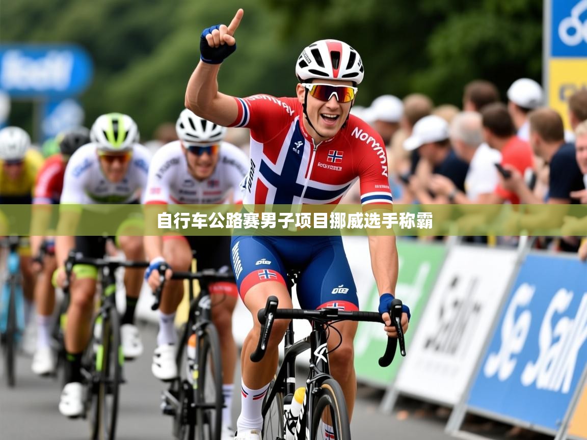 2025 极速体育自行车公路赛男子项目挪威选手称霸  第2张